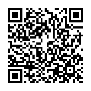 圣洁温和当中蕴含着狂暴的力量在夏擎雷的身体内游窜着二维码生成