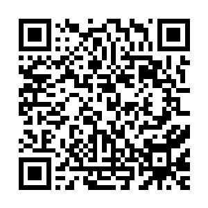 圣洁的骑士也会沉迷于洗涤邪恶的荣耀和不断变强的快感之中二维码生成