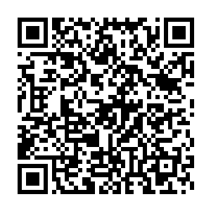 圣火王与浮屠王为了争夺圣弃界的统治者地位时展开了一场激烈交锋二维码生成