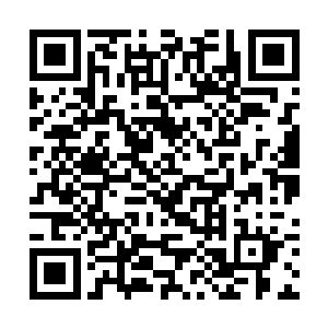 圣王强者根本就不可能给卡拉丽薇心中带来丝毫压力二维码生成