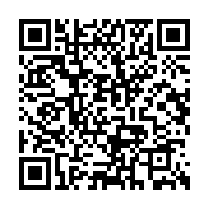 圣盟人似乎将全部星舰都集中在小小的一座战场二维码生成