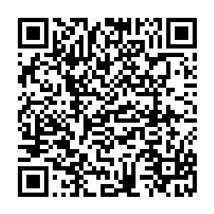 圣级一层初期的修为也只是比长天圣级一层后期巅峰的修为略微差上一丝二维码生成