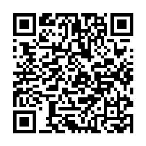 圣级下品档次的长剑以不可抵挡之势朝巨龙轰击过去二维码生成