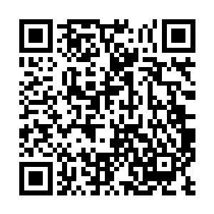 圣者们出手的动作已经改变了这方圆万里内的法则二维码生成