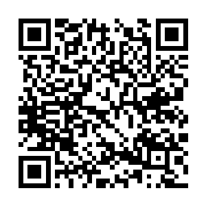 圣雪神教和其他几大势力的代表都已经传信回去了二维码生成