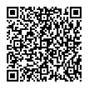 在一个绝对黑暗的环境之中长期生存和进化出来的生物……通常视力都会极度弱化二维码生成