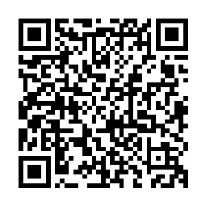 在一些五气境或者修为更低的后辈面前丢脸已经是难以容忍的了二维码生成