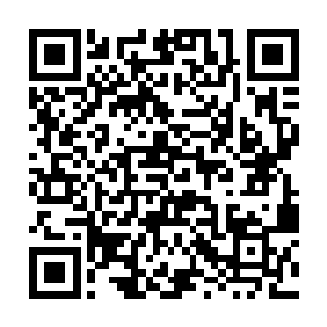 在一处可以俯视整个炼器坊的高山上见到了枯云大师二维码生成