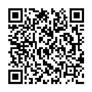 在一处隐蔽的地方等了许久没有发现巡视的人经过二维码生成