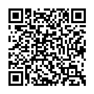 在一层十几厘米厚的皮肤和一堆活金属的包裹中二维码生成