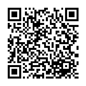 在一年多以来都已经被张一虎等人训练的如同嗜血的恶狼一般二维码生成