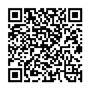 在一旁听着的许落峰不知所云的看着自己这宝贝孙二维码生成