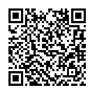 在一旁的胡宗宪注意到魏国公和临淮侯的异常举动二维码生成