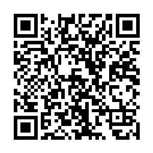 在一旁的陈灵素惊讶地看着萧霓裳身上发生的这些变化二维码生成