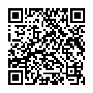 在一旁的马菊芳生怕龙老蔫老实巴交的再说出伤人的话来二维码生成