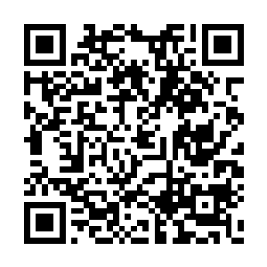 在一次次的锻炼和搏杀之中不断增强自己的能力二维码生成