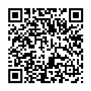 在一次游历中竟不幸遭遇了一只混乱海大妖的攻击二维码生成