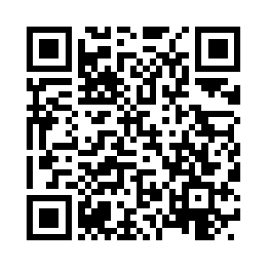 在一片完全由岩石和苔藓构成的平原上二维码生成