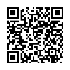 在一辆秦洛甚至都叫不出名字的豪华名车里二维码生成