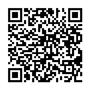 在一边有些无聊的杰西卡顿时很是佩服这胖胖的尼克斯了二维码生成