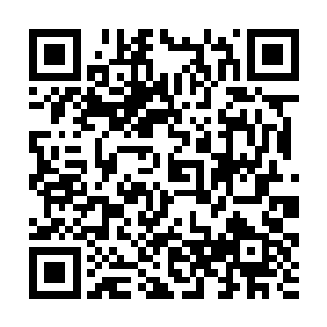 在一边的晏宁裕有些难以置信的看着棋盘上的棋局后二维码生成