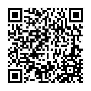 在一阵阵剧烈至极的轰鸣声中激荡出一股股恐怖的能量乱流二维码生成