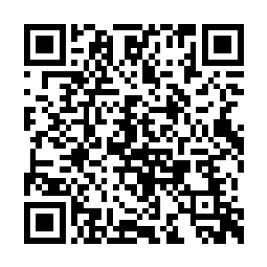 在万年的时间内不知道为什么失去了所有的灵力二维码生成