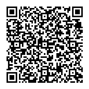 在万里黄沙大阵之内的许紫烟却是注意到了燕山魂手中的那个黑色头颅的变化此时那个黑色头颅给许紫烟的感觉二维码生成