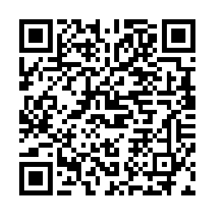 在三十六头结丹期幡灵鬼将和一头元婴期幡灵鬼帅统领之下二维码生成