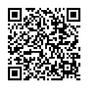 在三界律条上补充上了对于神秘当铺主人再入三界的制约条款二维码生成