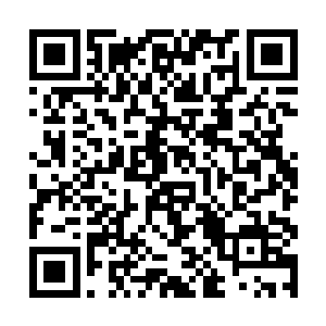 在上古年间除了我人族第一强者莫天云之外无人能敌二维码生成