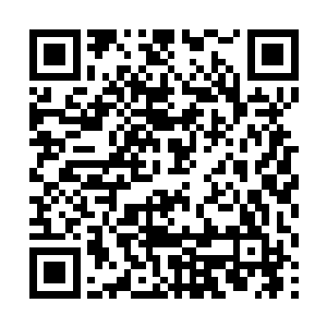 在上方那令它感到惊惧无比的冥尊婴儿冷眼注视之下二维码生成