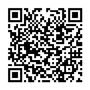 在上空根本无法发现有妖修在底下那片荒蛮大森林二维码生成