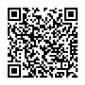 在下于一个机缘巧合的机会捡到了一个鲲鹏的尸体二维码生成