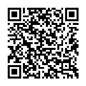 在下刚才的说辞纯粹是对玄姬大人抱着赞美之心二维码生成