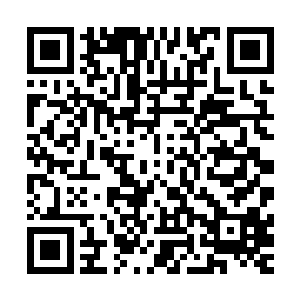 在下只是…南侯可是已经同意将大军的决断大权全部交给王妃二维码生成
