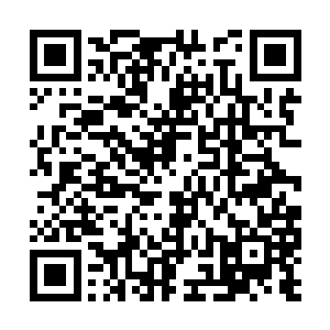 在下听说李大人昔日曾与忠勇侯府的小姐有过婚约二维码生成