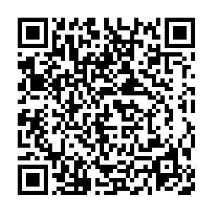 在不久前才跟楚旬等人交过手的巨龙奥斯卡等人也忍不住脸色一变二维码生成