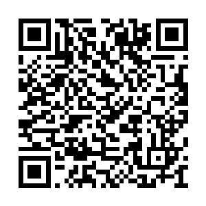 在不断吸收天地间的天道之力孕育出灵石的同时二维码生成