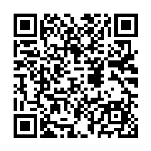 在不远处诛虎长原土垒上的司马懿忽然微微凝起了眼色二维码生成