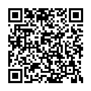 在专业营养师和训练师的指导下进行才是最好的二维码生成