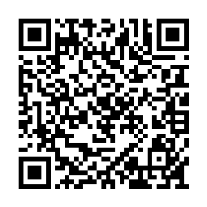 在丢掉了十二位宗师的性命之后灰溜溜的离开了二维码生成