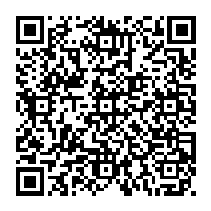 在两个人之前的空中出现了由仙元力勾勒出来的密密麻麻的文字和各种实验的丹方二维码生成