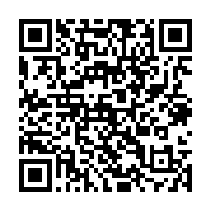 在两个人的旁边则是五个一身赤红色妖异长袍的人二维码生成