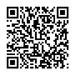 在两人的劝说下贝海这边不得不给约书亚打了个电话二维码生成