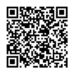 在两声清脆的骨骼碎裂声以及一阵沉闷的血肉撕裂声中彻底扭曲二维码生成