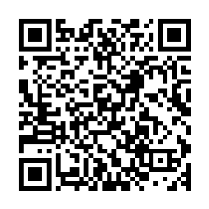 在两条河流下游的几个村子在一夜之间被泛滥的河水夷为平地二维码生成