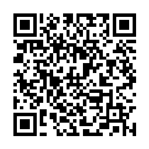 在中国这个既封闭又庞大的市场经济国家里做大佬二维码生成