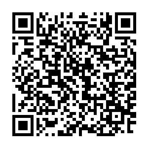 在主席台上的皇家马德里俱乐部主席弗洛伦蒂诺的脸瞬间就黑了下来二维码生成