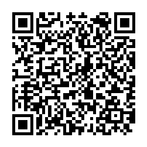 在之前与霍君白的交手中便已经看穿他会有几次厉害的潜能爆发之术二维码生成